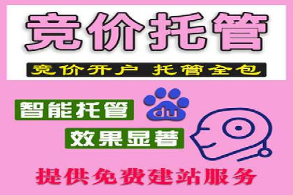 深度剖析：百度竞价推广代运营在某电商平台的成功实践